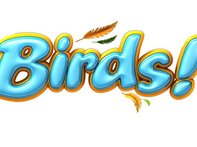 Birds!