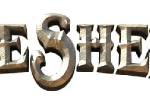 The True Sheriff