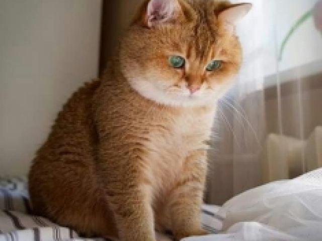 image_test