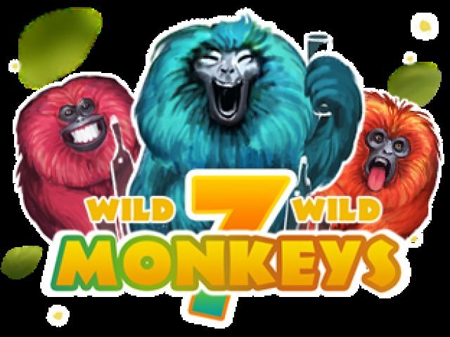 7 Monkeys JP