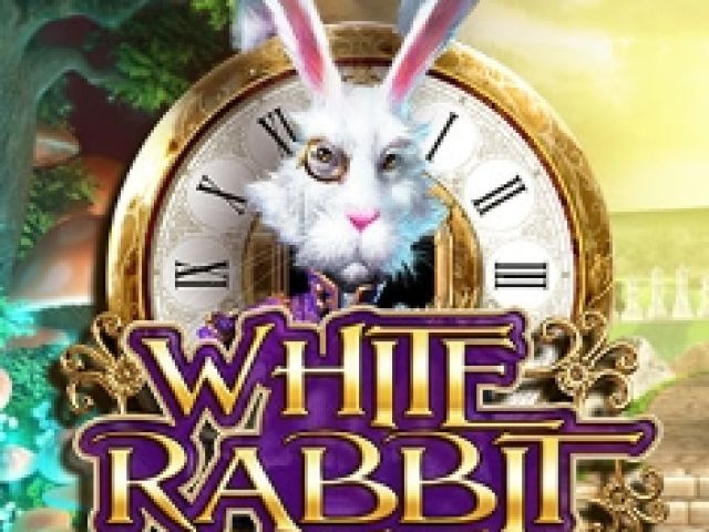 White Rabbit
