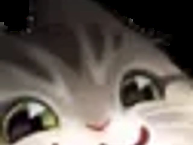 test pending gane