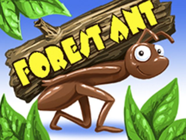 Forest Ant
