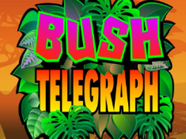 Bush Telegraph