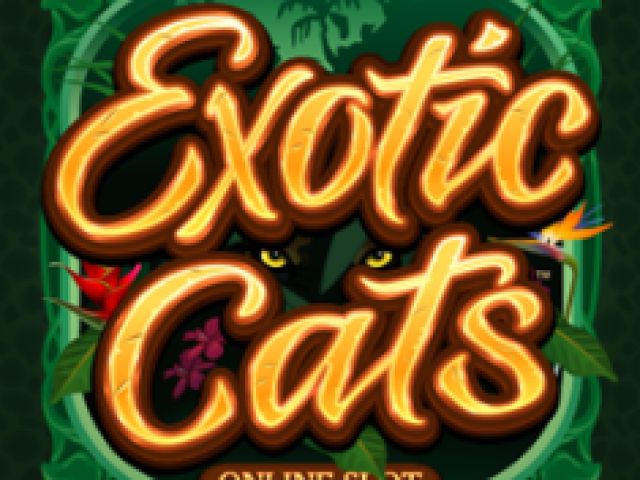 Exotic Cats