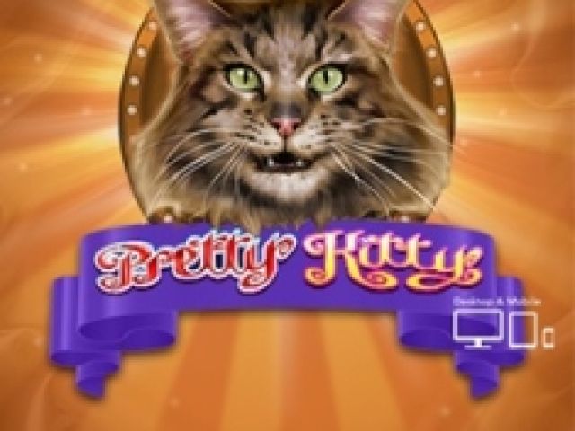 Pretty Kitty