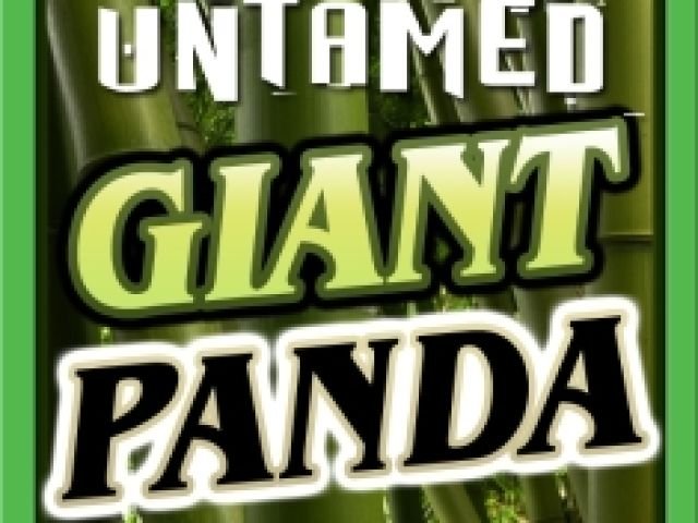 Untamed - Giant Panda