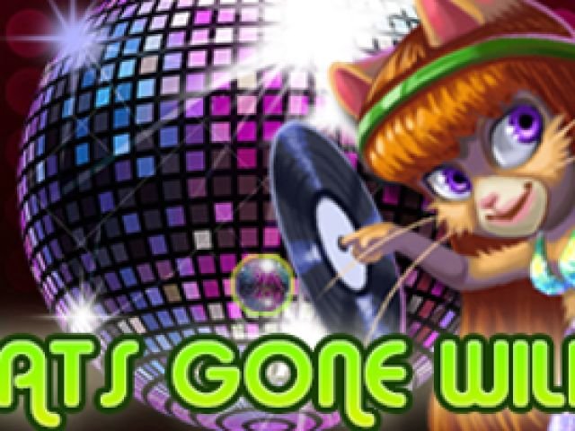 Cats gone wild
