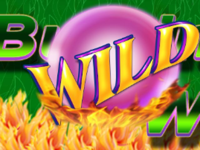 Burning Wild New Version