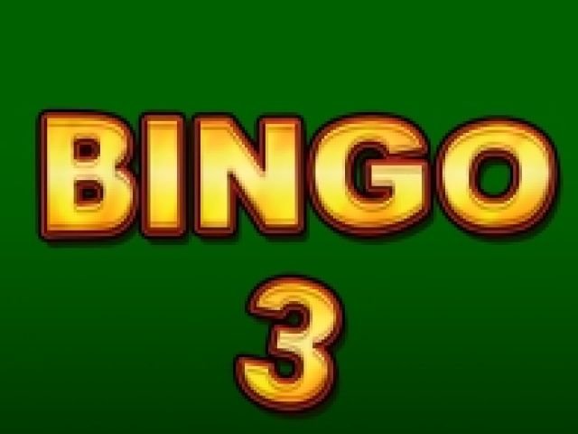 Bingo 3