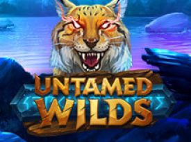 Untamed Wilds