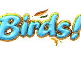 Birds!