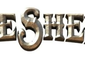 The True Sheriff