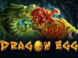  Dragon Egg