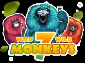 7 Monkeys JP