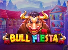 Bull Fiesta