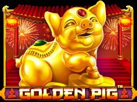 Golden Pig