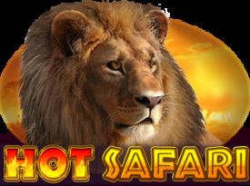 Hot Safari JP