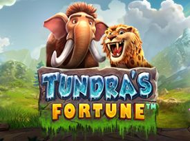 Tundra's Fortune