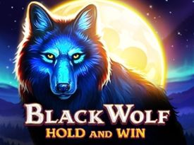 Black Wolf