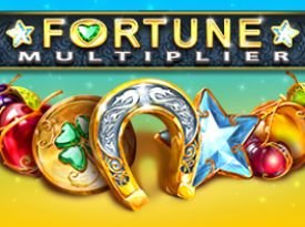 Fortune Multiplier