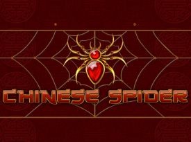 Chinese Spider