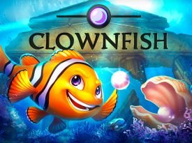 Clown Fish