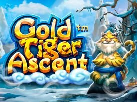 Gold Tiger Ascent
