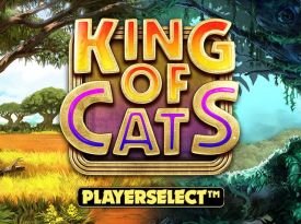 King Of Cats