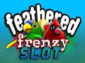 Feathered Frenzy