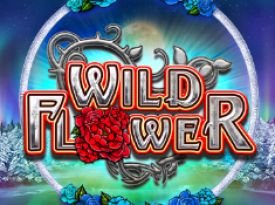 Wildflower