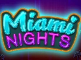 Miami Nights