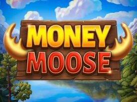 Money Moose