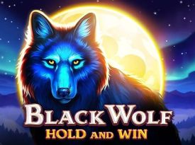 Black Wolf