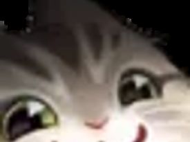 test pending gane