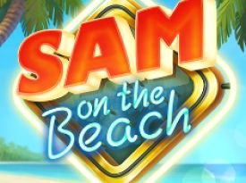 Sam on the Beach