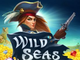 Wild Seas