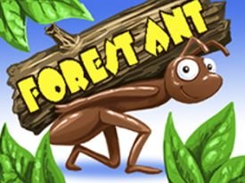 Forest Ant