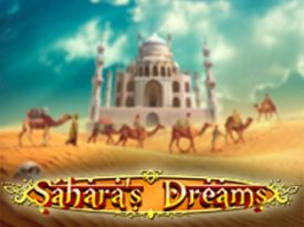Sahara`s-Dreams