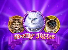Pretty Kitty
