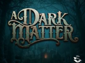 A Dark Matter