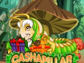 Cashapillar