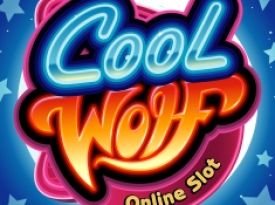 Cool Wolf