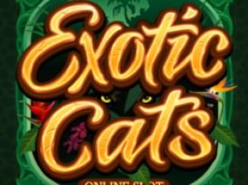 Exotic Cats
