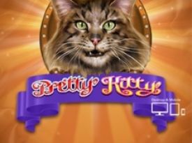 Pretty Kitty