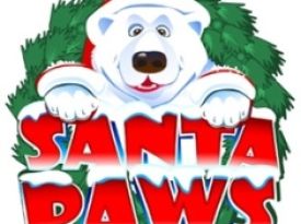 Santa Paws