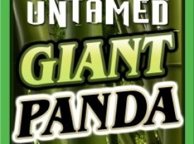 Untamed - Giant Panda