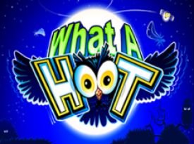 What a Hoot