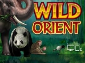 Wild Orient