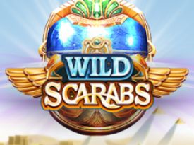Wild Scarabs